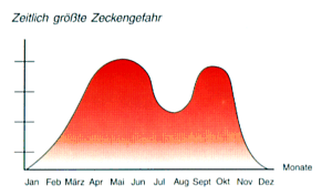 zeckengrafik.gif (13220 Byte)